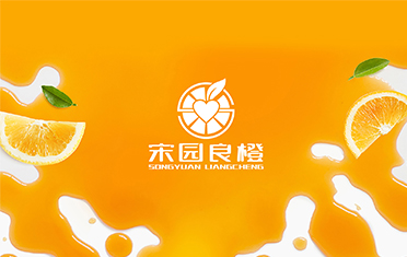某良橙——中卫LOGO设计