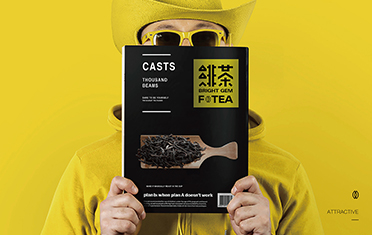 中卫绯茶品牌设计